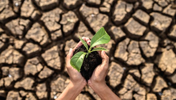 CAMBIO CLIMATICO